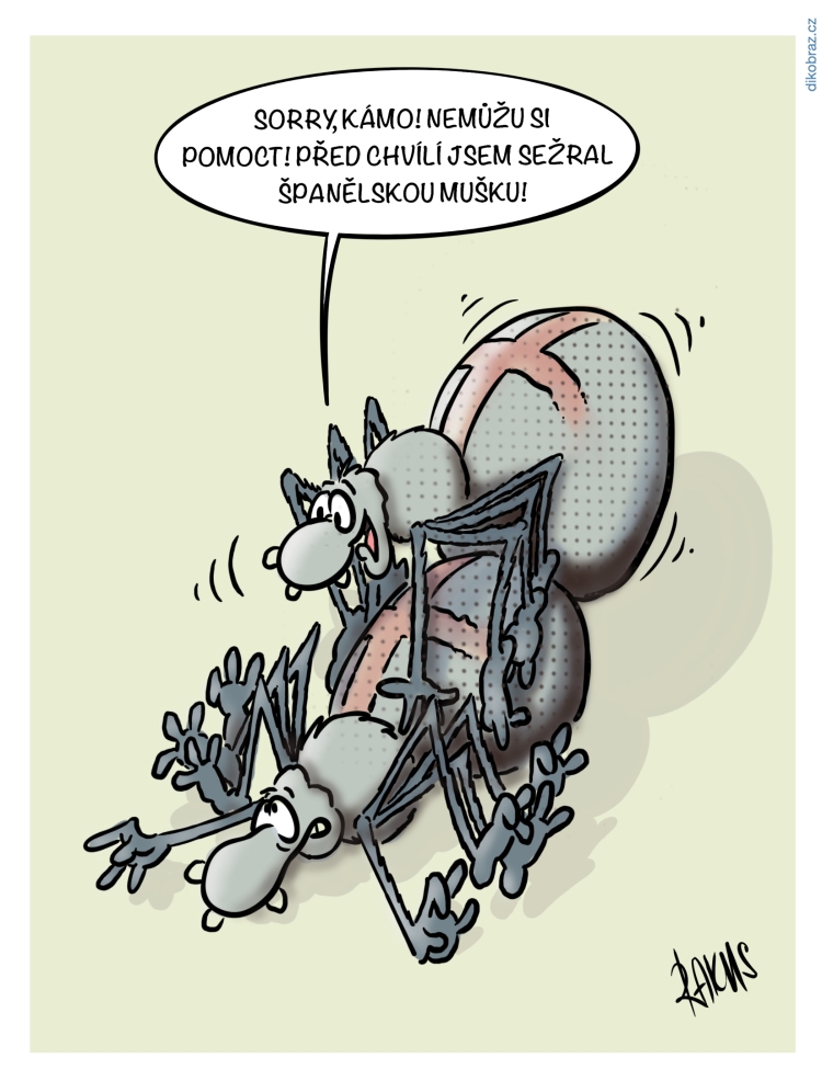 Radovan Rakus vtipy č.21786 - 