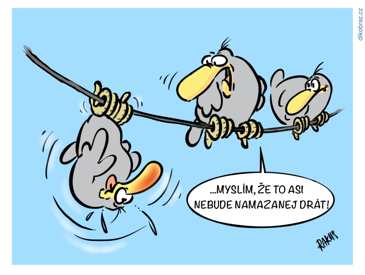 Radovan Rakus vtipy č.22784 - 