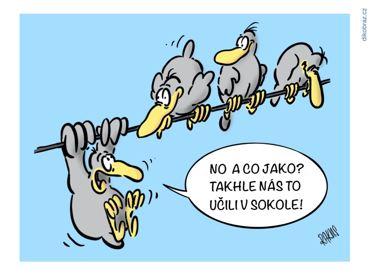 Radovan Rakus vtipy č.22947 - 