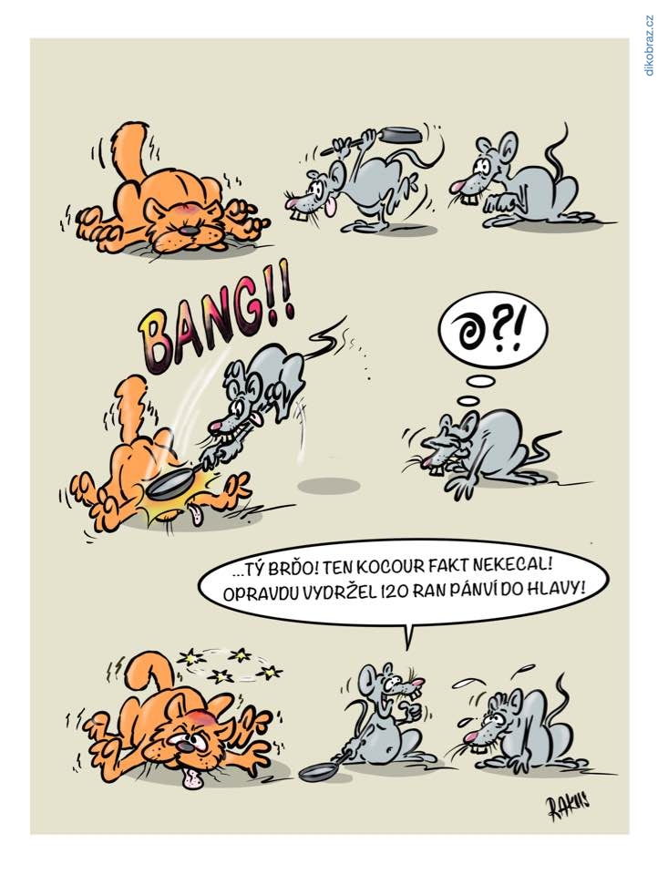 Radovan Rakus vtipy č.24268 -