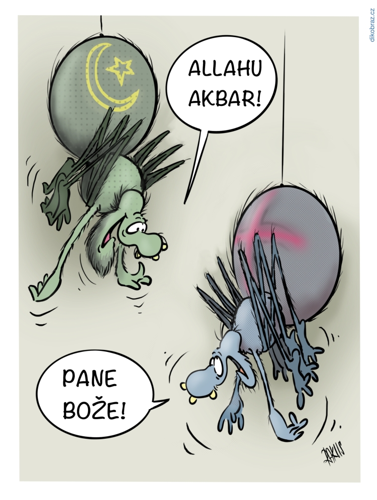 Radovan Rakus vtipy č.25088 - 