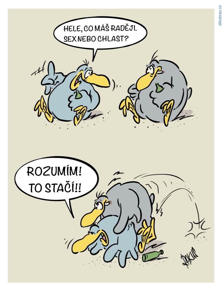 Radovan Rakus vtipy č.25586 - 