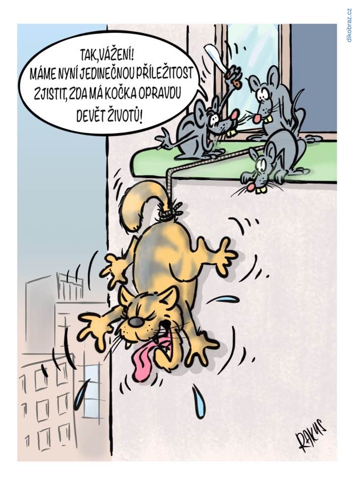 Radovan Rakus vtipy č.25987 - 