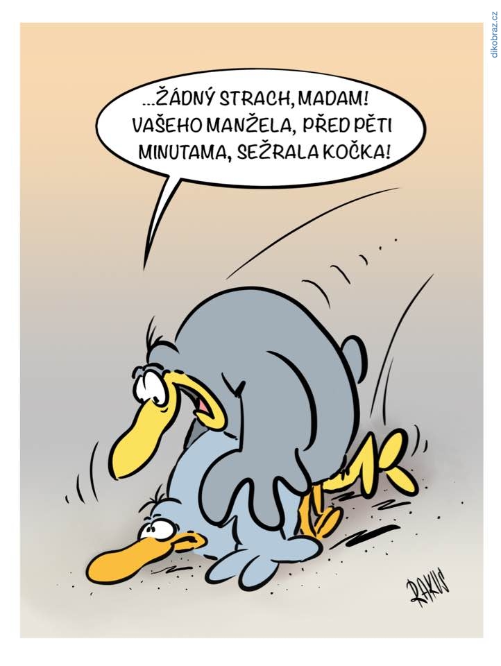 Radovan Rakus vtipy č.26841 - 
