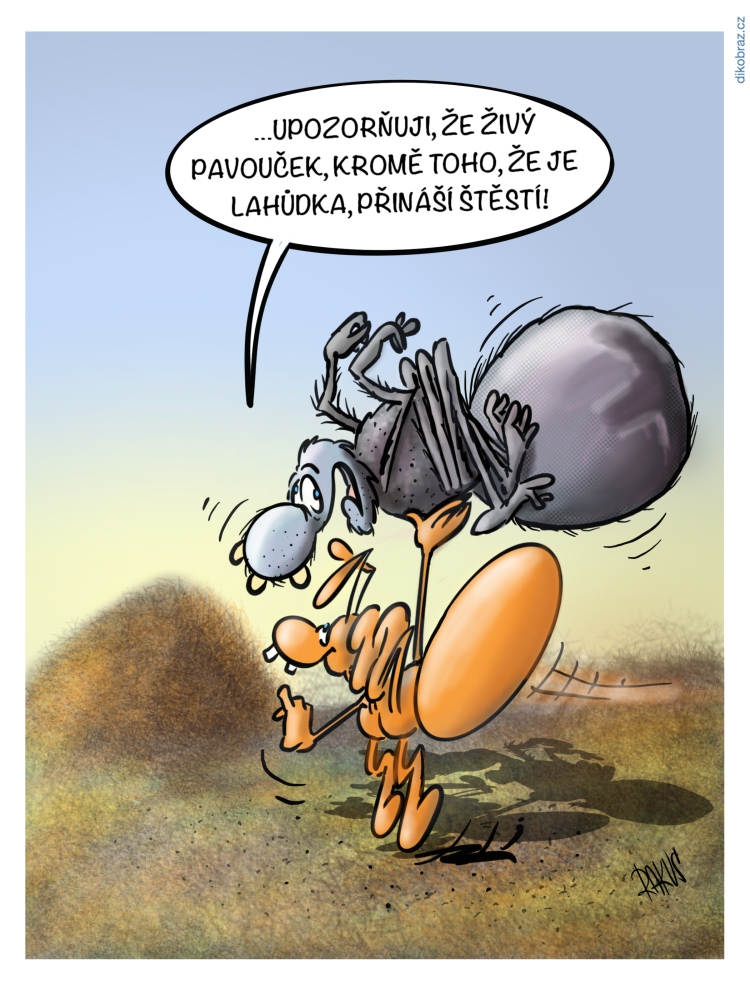 Radovan Rakus vtipy č.31942 - 