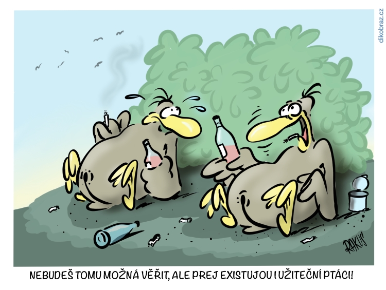 Radovan Rakus vtipy č.32436 - 