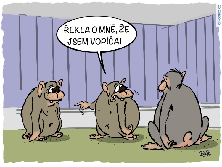 Radovan Rakus vtipy č.40070 - 