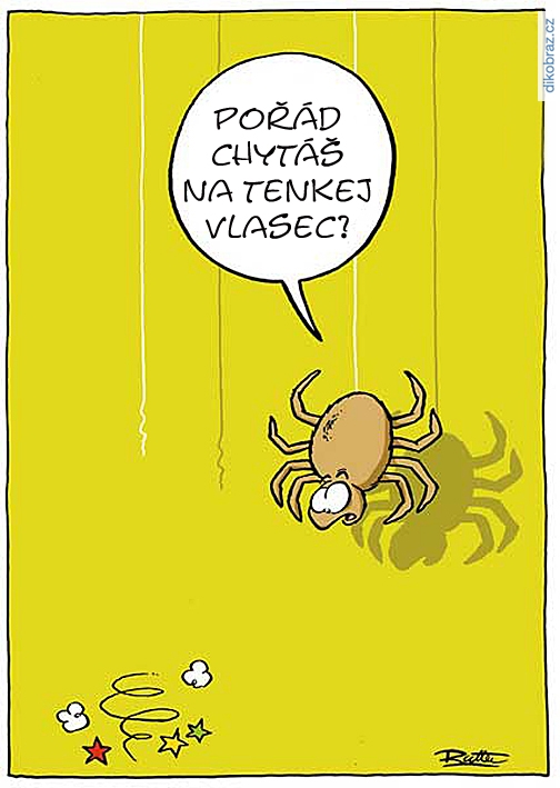 Ralph Ruthe vtipy č.63728 - 