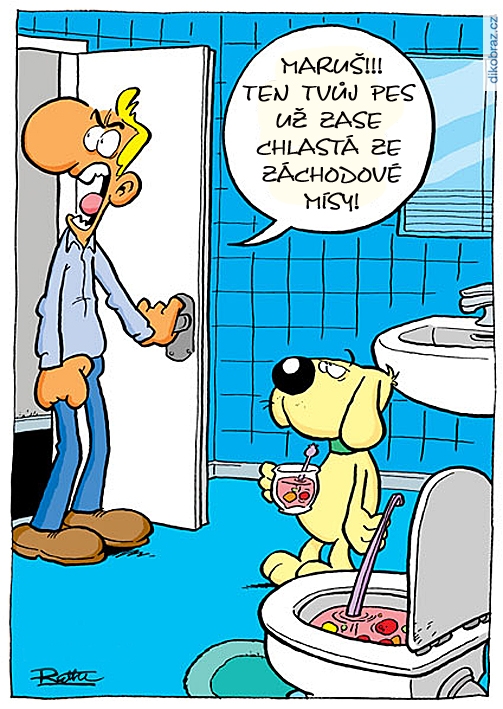 Ralph Ruthe vtipy č.64265 - 