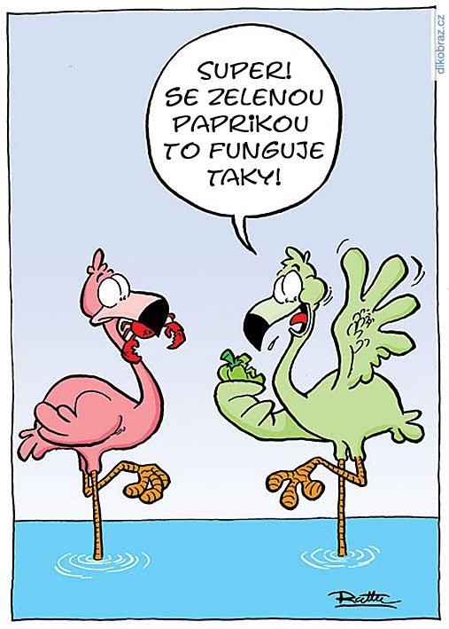 Ralph Ruthe vtipy č.64268 - 