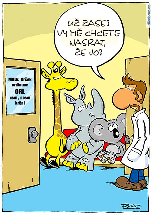 Ralph Ruthe vtipy č.64282 - 