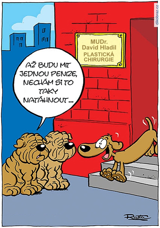 Ralph Ruthe vtipy č.64586 - 