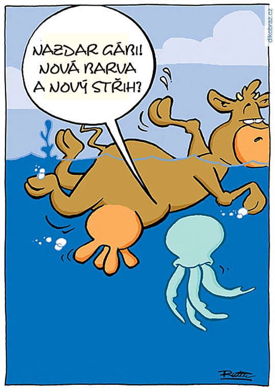 Ralph Ruthe vtipy č.64592 - 