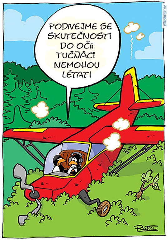 Ralph Ruthe vtipy č.64593 - 