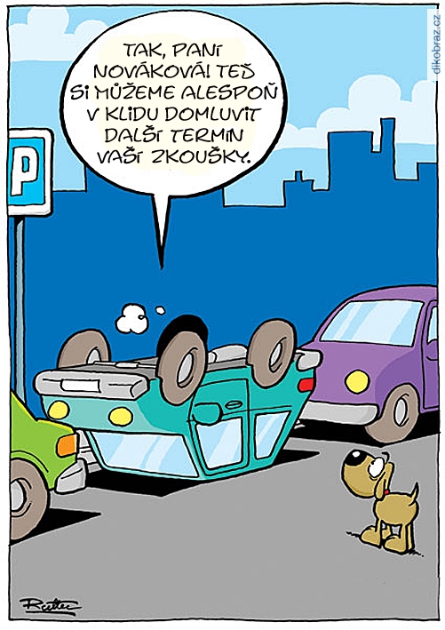 Ralph Ruthe vtipy č.64769 - 