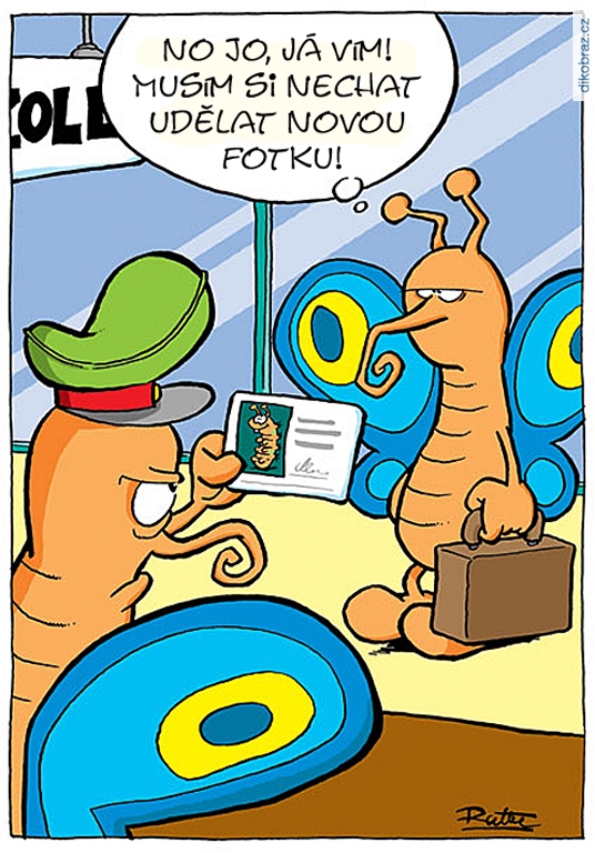 Ralph Ruthe vtipy č.64774 - 