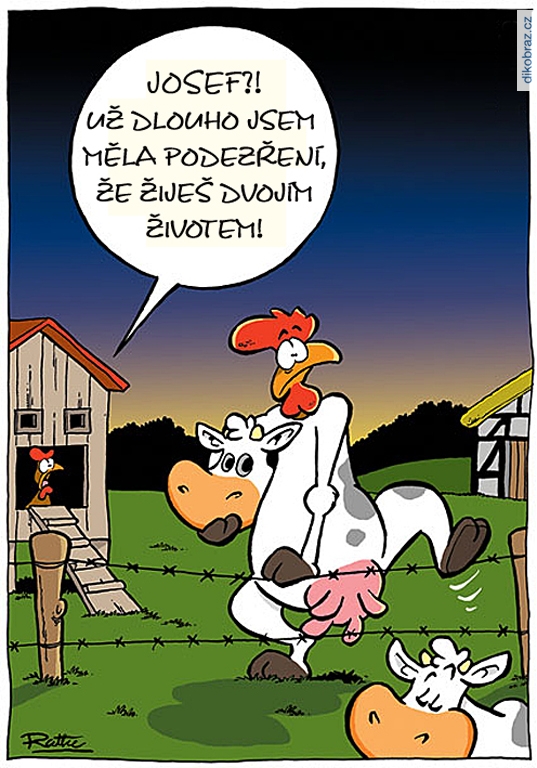 Ralph Ruthe vtipy č.64843 - 