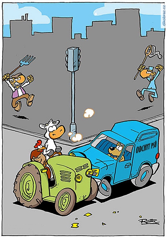 Ralph Ruthe vtipy č.65054 - 