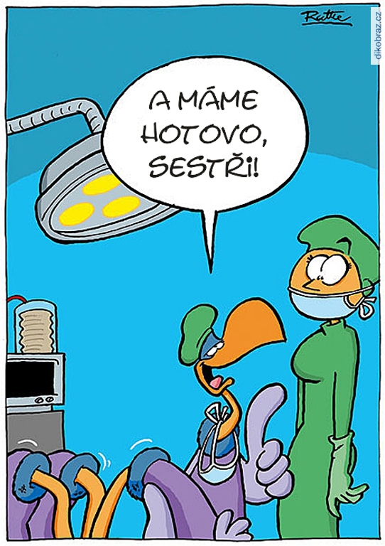 Ralph Ruthe vtipy č.65063 - 