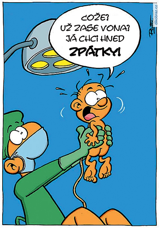 Ralph Ruthe vtipy č.65195 - 