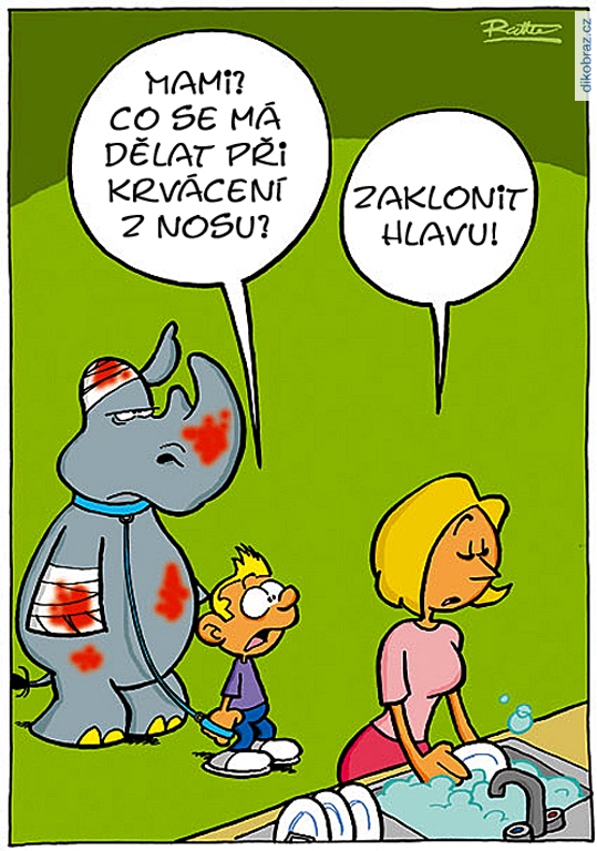 Ralph Ruthe vtipy č.66036 - 