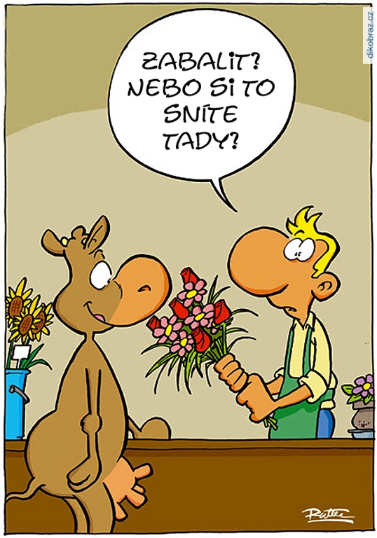 Ralph Ruthe vtipy č.66037 - 