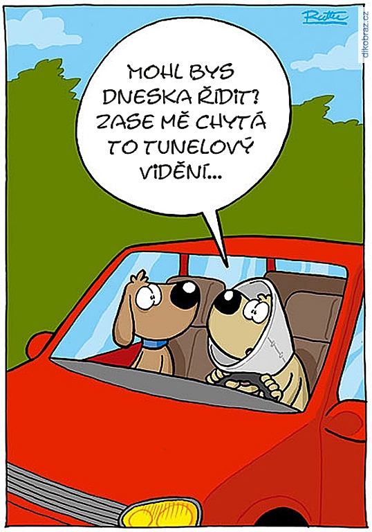Ralph Ruthe vtipy č.74882 - 