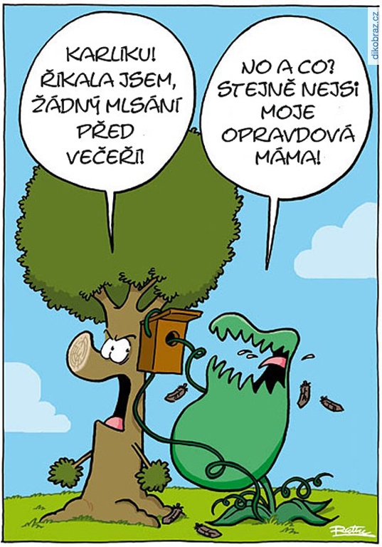 Ralph Ruthe vtipy č.102139 - 