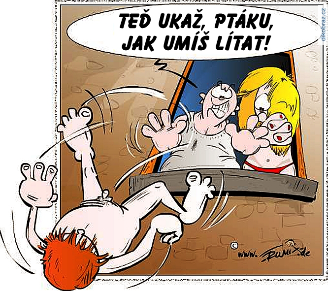 Reinhard Trummer (Trumix) vtipy č.63910 - 