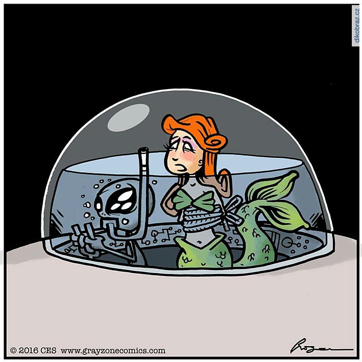 Roger Phillips vtipy č.89253 - 