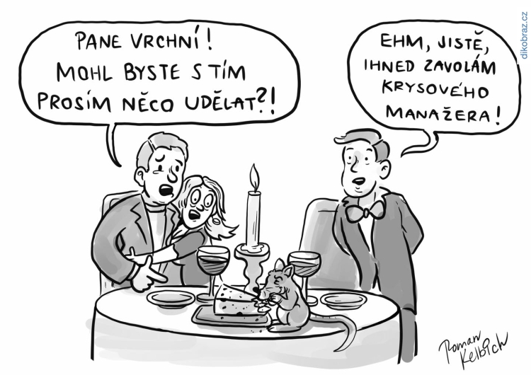 Roman Kelbich vtipy č.46480 - 