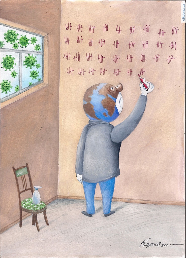 Seyran Caferli vtipy č.33349 - 