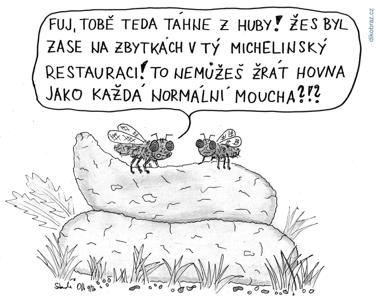 Standa Olt vtipy č.10400 - 