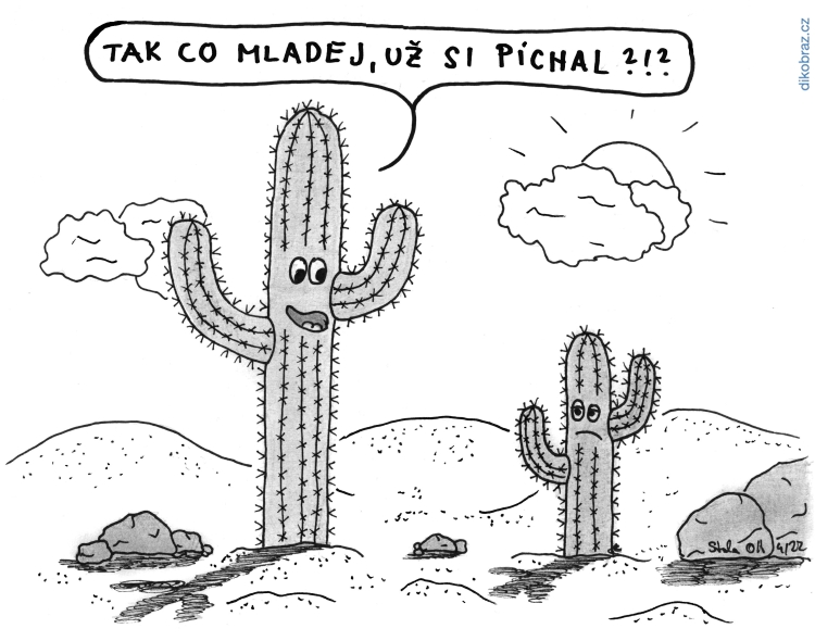 Standa Olt vtipy č.48647 - 