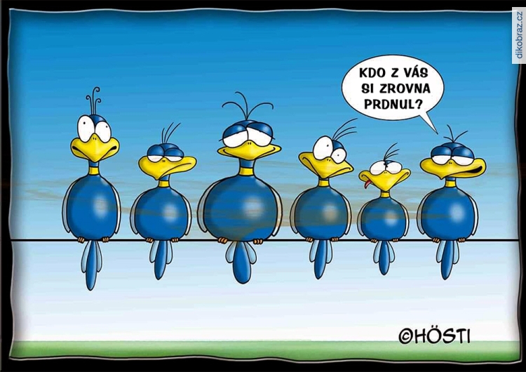 Stephan Höstermann (Hösti) vtipy č.77418 - 
