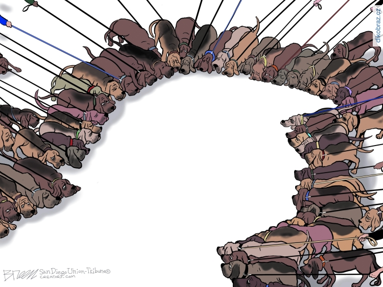 Steve Breen vtipy č.55016 - Americká politika 2022