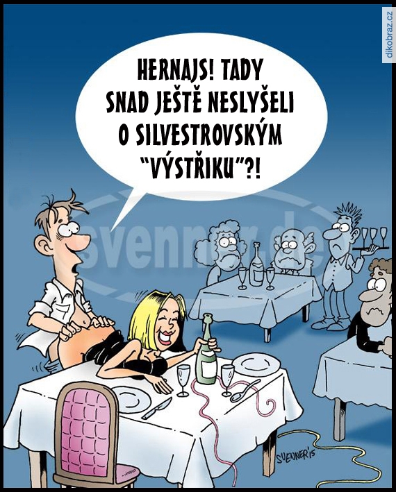 Sven Kirchner vtipy č.73864 - 
