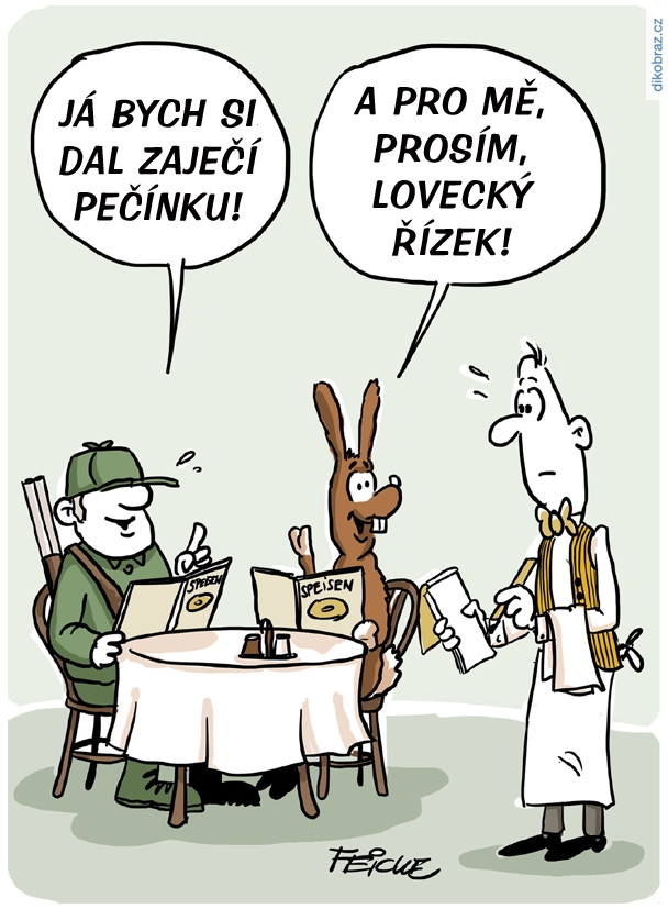 Tim Oliver Feicke vtipy č.63673 -