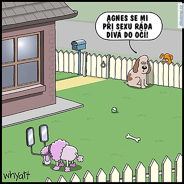 Tim Whyatt vtipy č.64360 - 