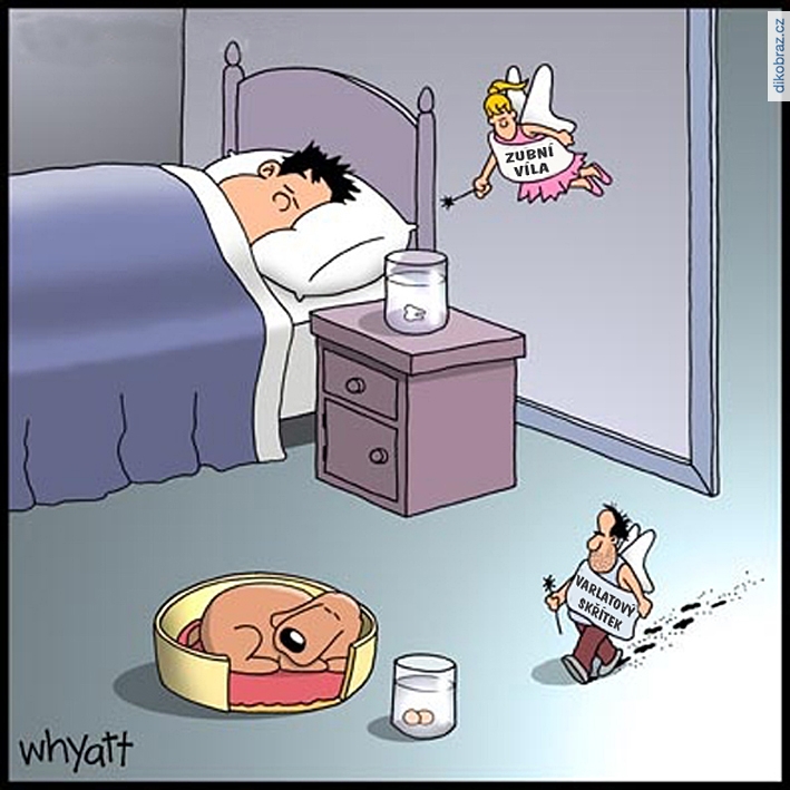 Tim Whyatt vtipy č.64366 - 