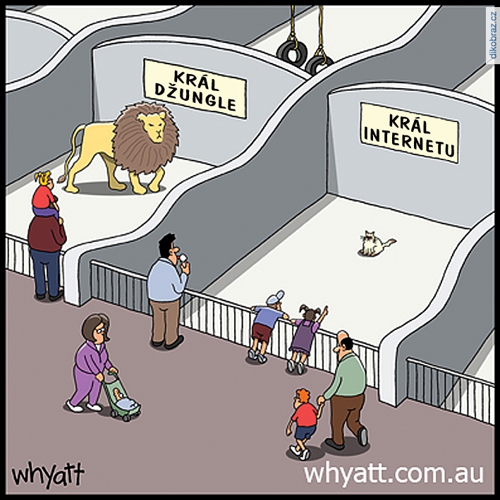 Tim Whyatt vtipy č.65901 - 