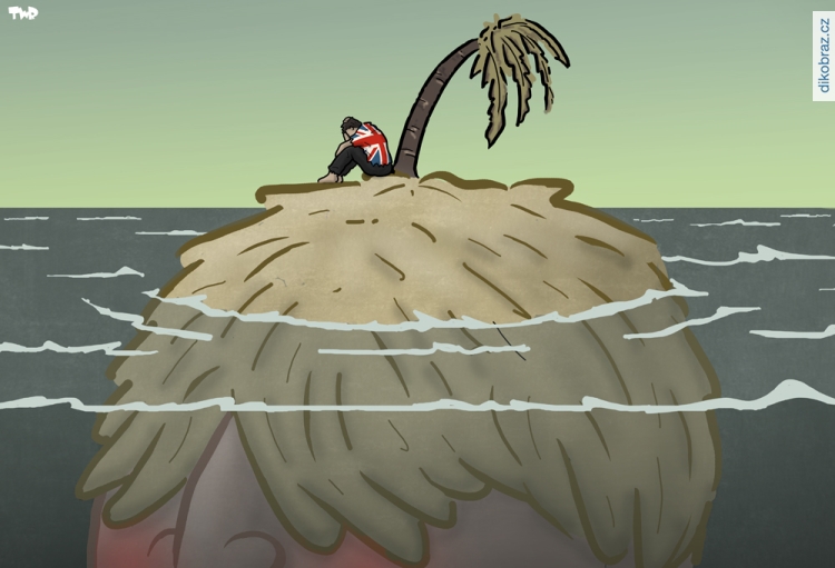 Tjeerd Royaards vtipy č. - Brexit