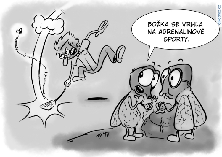 Tom Pekárek vtipy č.8642 - 