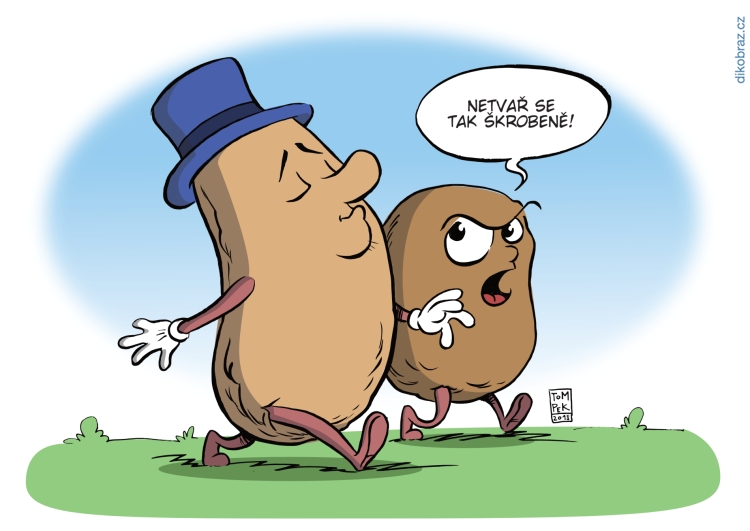 Tom Pekárek vtipy č. - 
