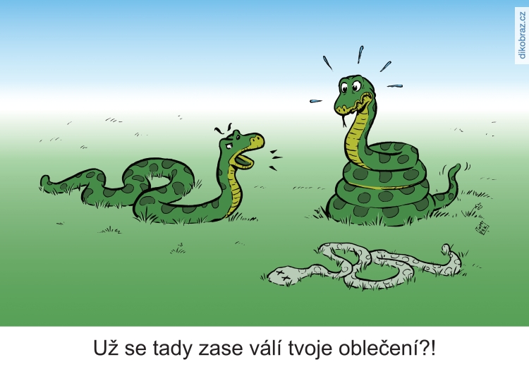 Tom Pekárek vtipy č.9185 - 