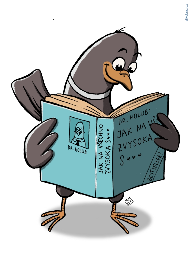 Tom Pekárek vtipy č. - 