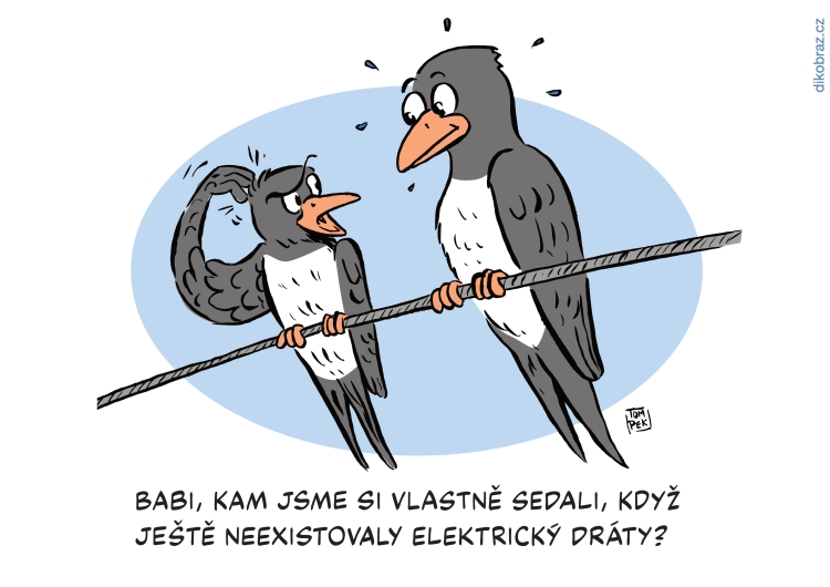 Tom Pekárek vtipy č.9283 -
