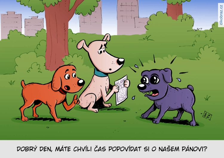 Tom Pekárek vtipy č.10136 - 