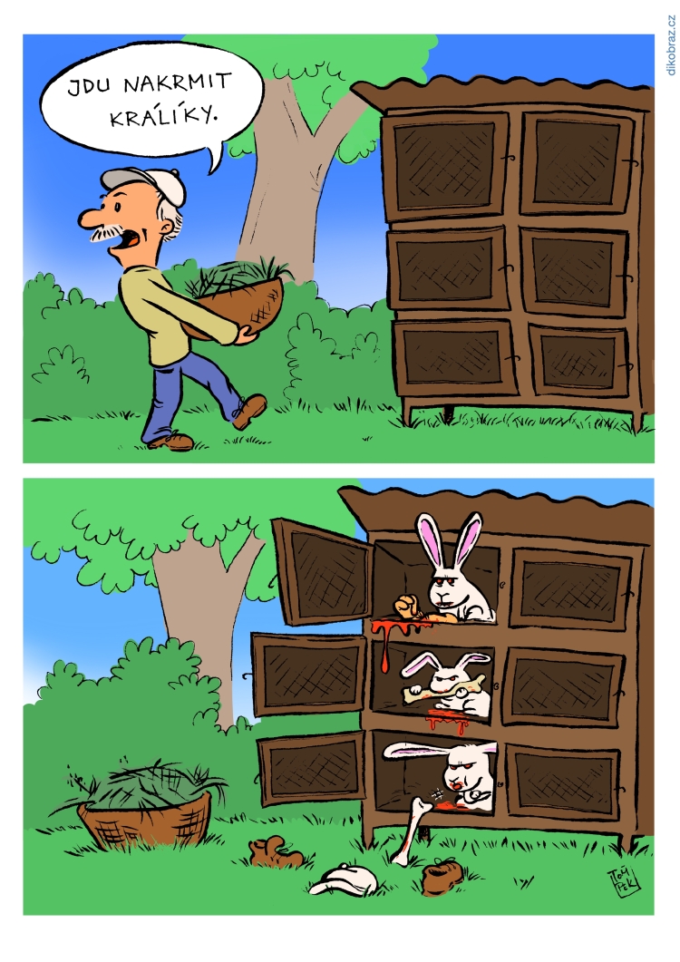 Tom Pekárek vtipy č.10296 - 