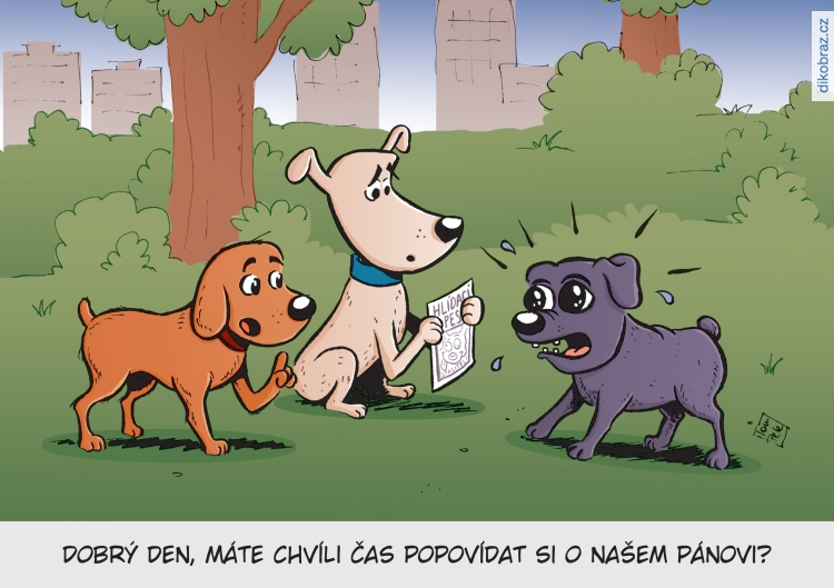 Tom Pekárek vtipy č.10625 - 